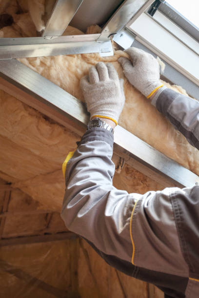 Best Insulation for Specific Applications in Lula, GA