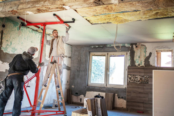 Best Eco-Friendly Insulation in Lula, GA