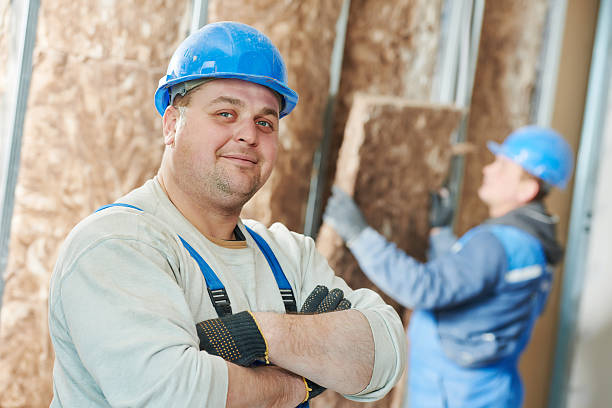 Best Geographic-Specific Insulation Services in Lula, GA